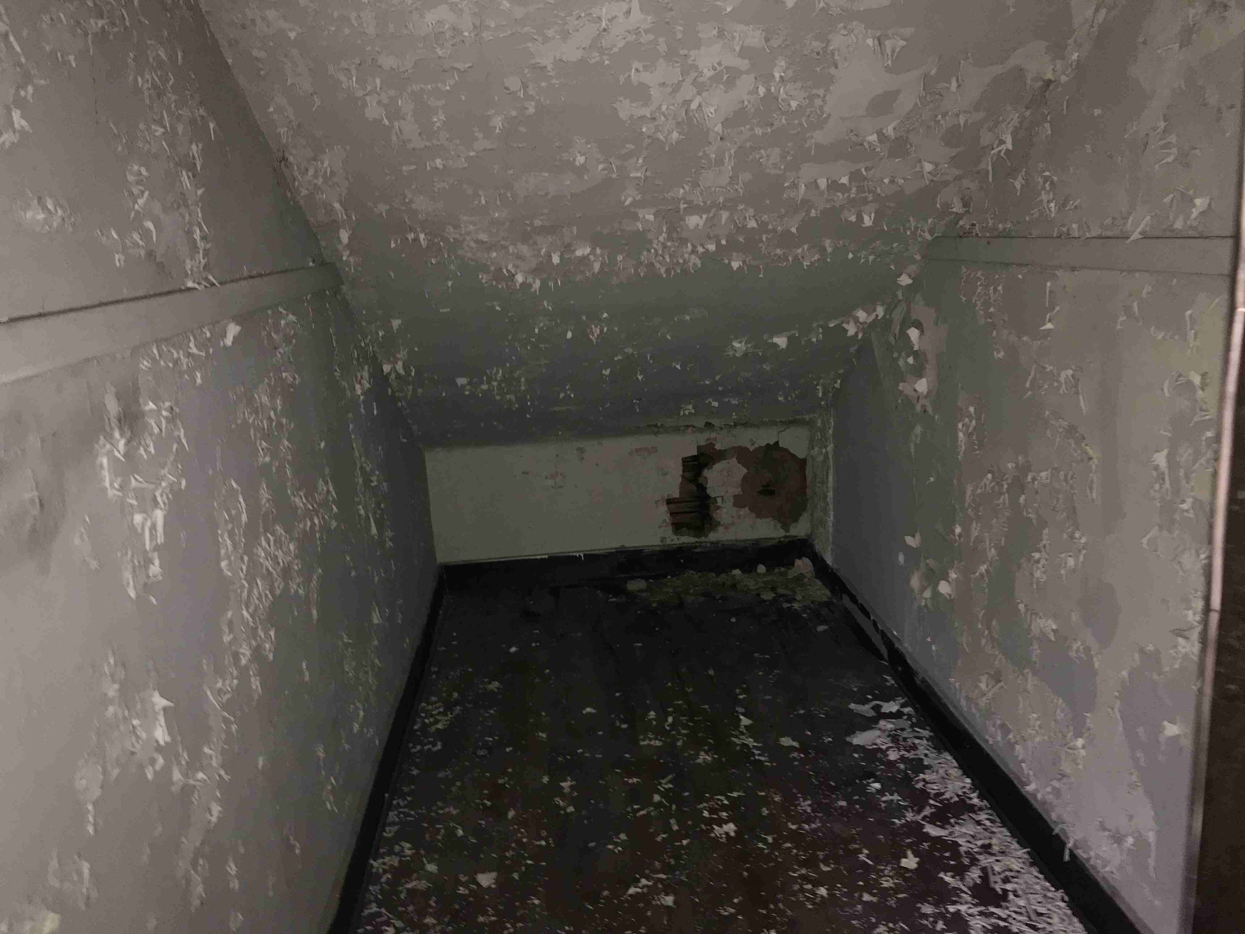 Photo Sep 10, 3 21 51 PM.jpg